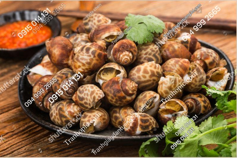 Tranh dán tường quán ốc 1933956953