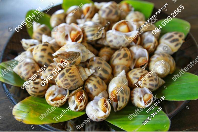 Tranh dán tường quán ốc đẹp 138200126