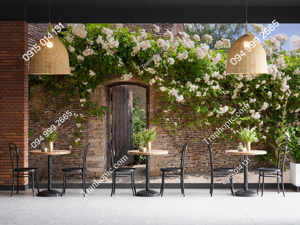 Tranh tường hoa hồng trắng và gạch cổ ở Cotswolds, Anh OP_1126016990