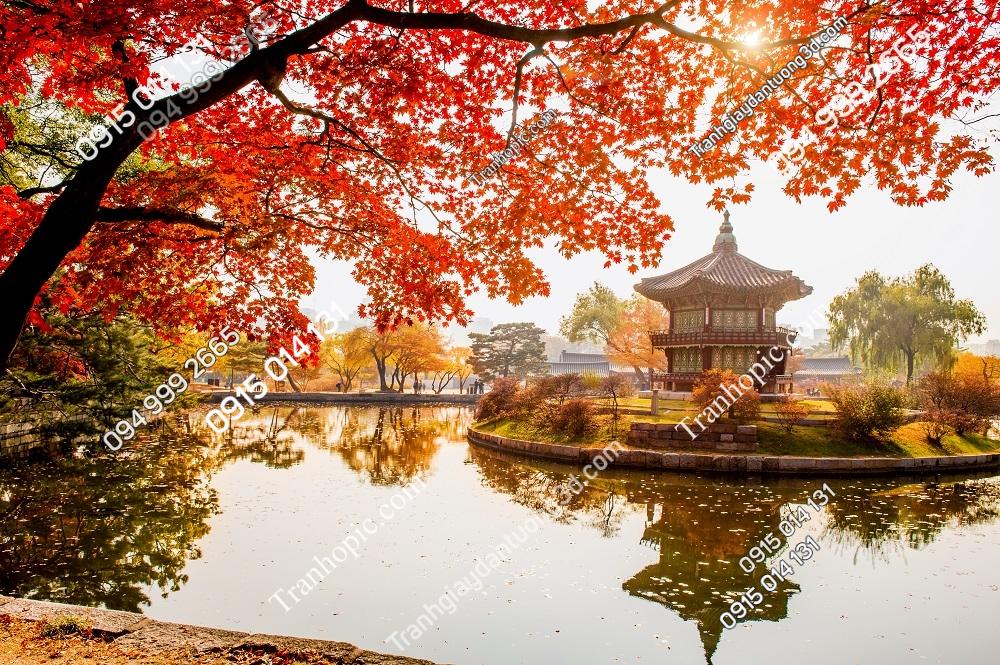 Tranh Cung điện Gyeongbokgung mùa thu FP11306559