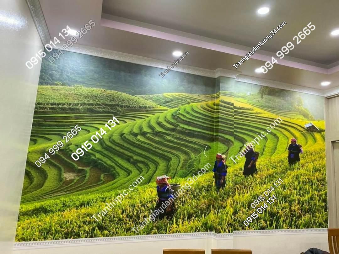 Tranh dán tường ruộng bậc thang phòng khách
