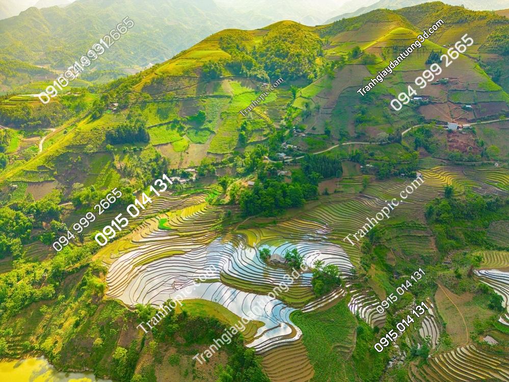 Tranh dán tường phong cảnh ruộng bậc thang ở Mường Hum, Y Tý, tỉnh Lào Cai, Việt Nam 3307271622