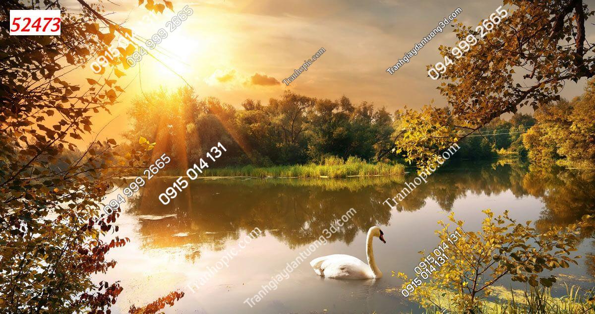 Tranh dán tường bờ hồ lúc hoàng hôn 52473