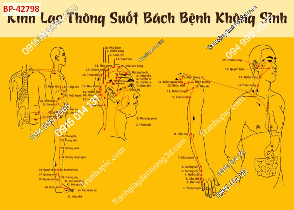 Tranh dán tường huyệt vị kinh mạch 42798