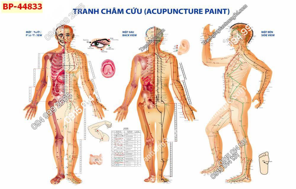 Tranh dán tường huyệt vị kinh mạch 44833