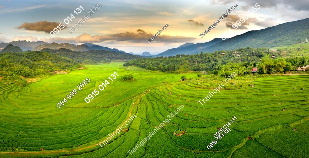 Panoramic,View,Of,Beautiful,Green,Terraces,Of,Pu,Luong,Commune,