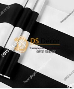 giay-dan-tuong-soc-den-trang-hien-dai-3D086