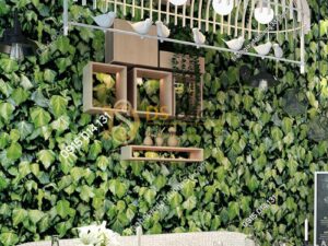 Giay-dan-tuong-la-cay-retro-ivy-cho-nha-hang-quan-an-3D125-01
