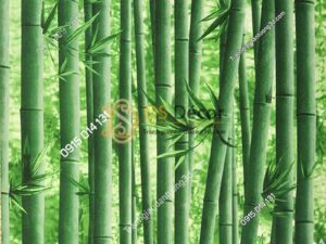 Giấy dán tường rừng tre xanh 3D159