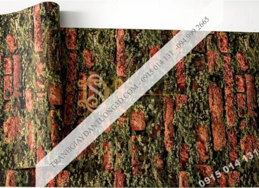 Bề mặt giấy dán tường 3D gạch đỏ mọc rêu 3D210 màu nhạt