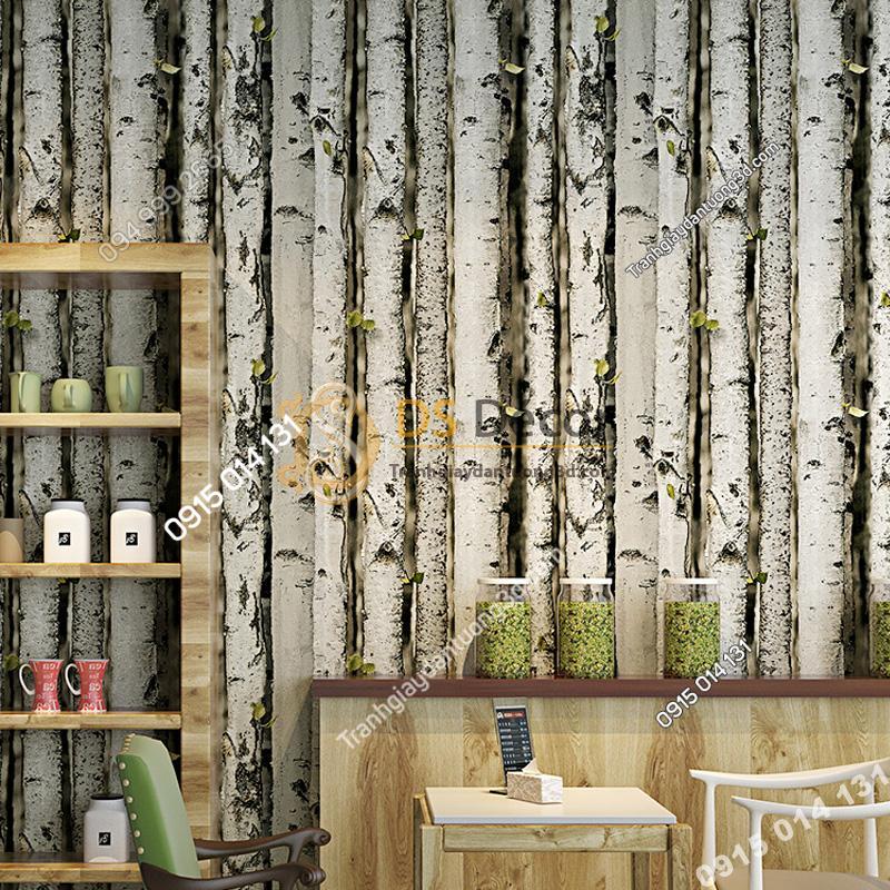 Giấy dán tường giả rừng gỗ bạch dương trắng 3D223