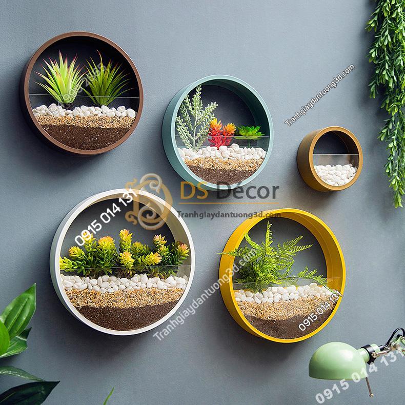 Vòng tròn trồng hoa treo tường trang trí của hàng DC03