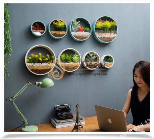 Vòng tròn trồng hoa treo tường trang trí nơi làm việc DC03