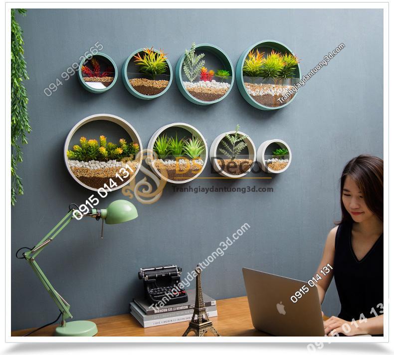 Vòng tròn trồng hoa treo tường trang trí nơi làm việc DC03