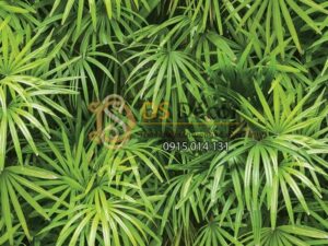 Bề mặt Giấy dán tường Hàn Quốc Natural lá cây tropical 88425-1 tropical