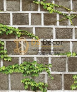 Bề mặt Giấy dán tường Hàn Quốc Natural tường gạch dây leo 88428-2 KG