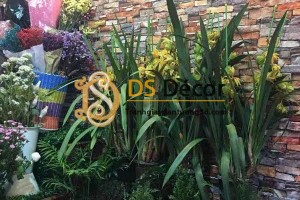 Giấy dán tường giả gạch cổ độc đáo cho shop bán hoa Giấy dán tường giả gạch cổ độc đáo cho shop bán hoa