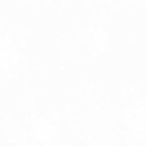 Giấy dán tường Hàn QUốc LyLy mã 36004-1