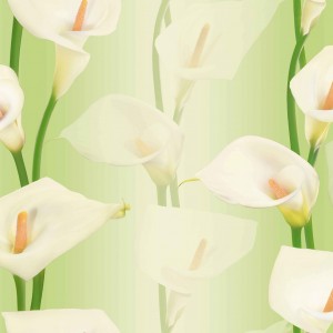 Giấy dán tường Hàn QUốc LyLy mã 36013-1