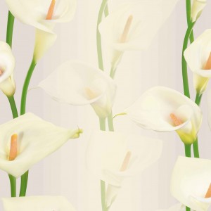 Giấy dán tường Hàn QUốc LyLy mã 36013-3