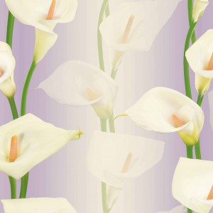 Giấy dán tường Hàn QUốc LyLy mã 36013-4