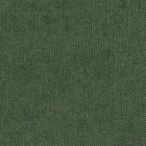 Giấy dán tường Hàn Quốc BASE mã 3809-5
