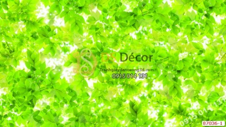 Giấy dán tường Hàn Quốc NATURAL lá cây 87036-1