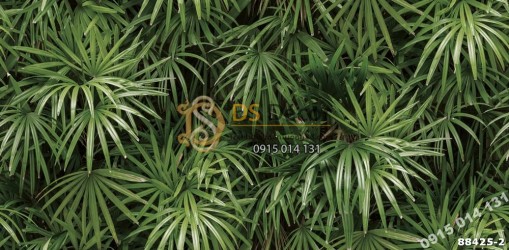 Bề mặt Giấy dán tường Hàn Quốc Natural lá cây tropical 88425-2 Bề mặt Giấy dán tường Hàn Quốc Natural lá cây tropical 88425-2