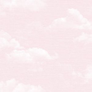 Giấy dán tường Hàn Quốc trẻ em Dream World A5119-1 Giấy dán tường Hàn Quốc trẻ em Dream World A5119-1